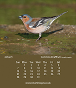 photo by Oliver Smart